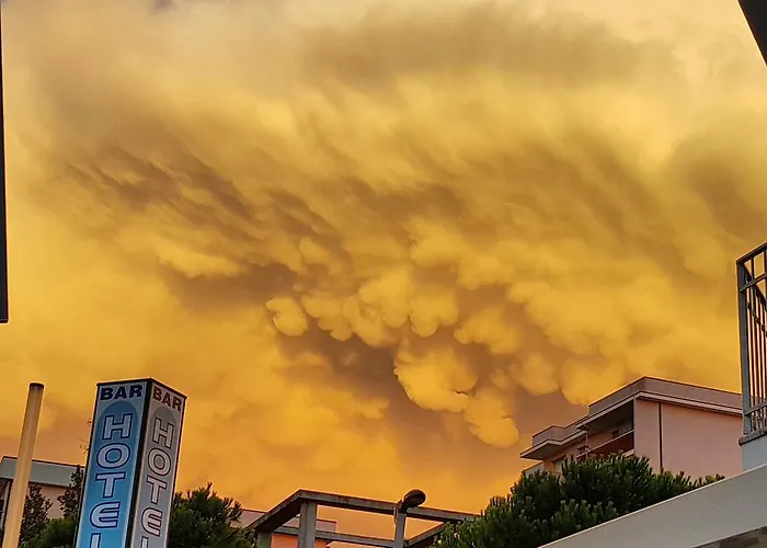 I Pini Hotel Lido di Pomposa